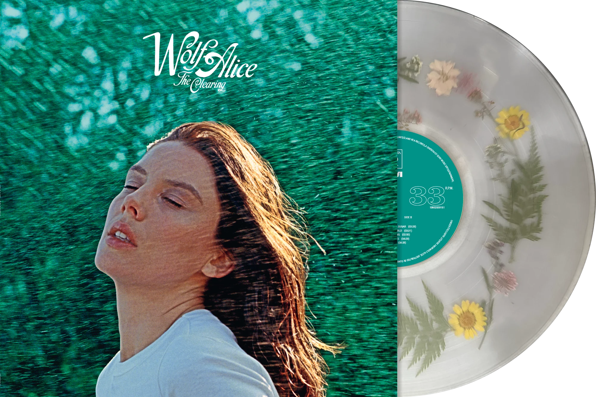 Wolf alice